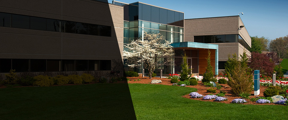 Friendship Landscapers